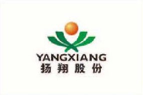 亚美达股份杨翔